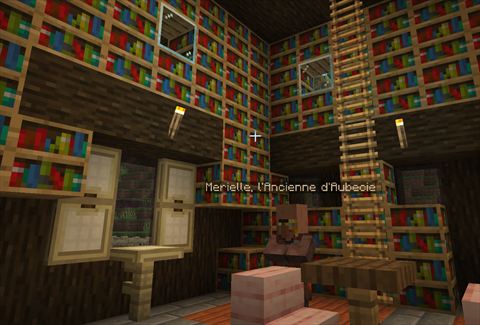 Intérieur de bibliothèque — vue 2
