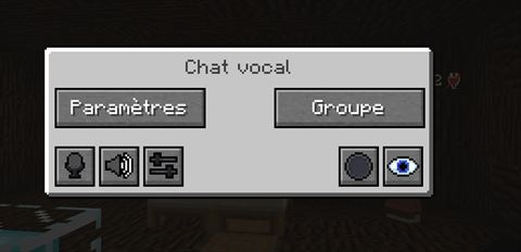 Interface du chat vocal (Simple Voice Chat) : Paramètres / Groupe